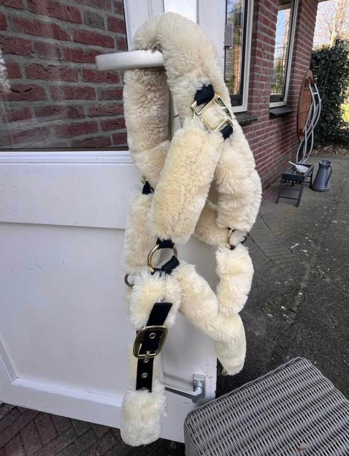 Te koop mooi halster bont kentucky, Dieren en Toebehoren, Ophalen of Verzenden, Zo goed als nieuw