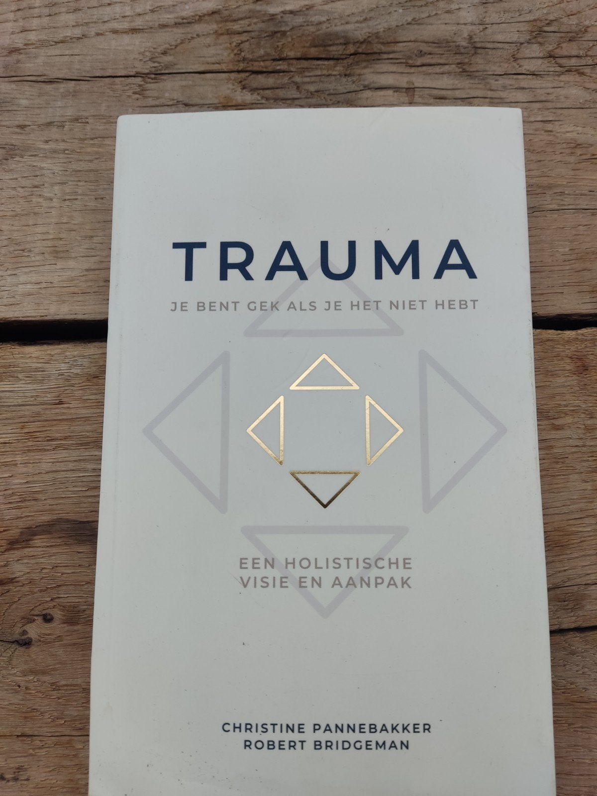 Robert Bridgeman - Trauma, je bent gek als je het niet hebt, Boeken, Ophalen of Verzenden, Zo goed als nieuw, Robert Bridgeman; Christine Pannebakker