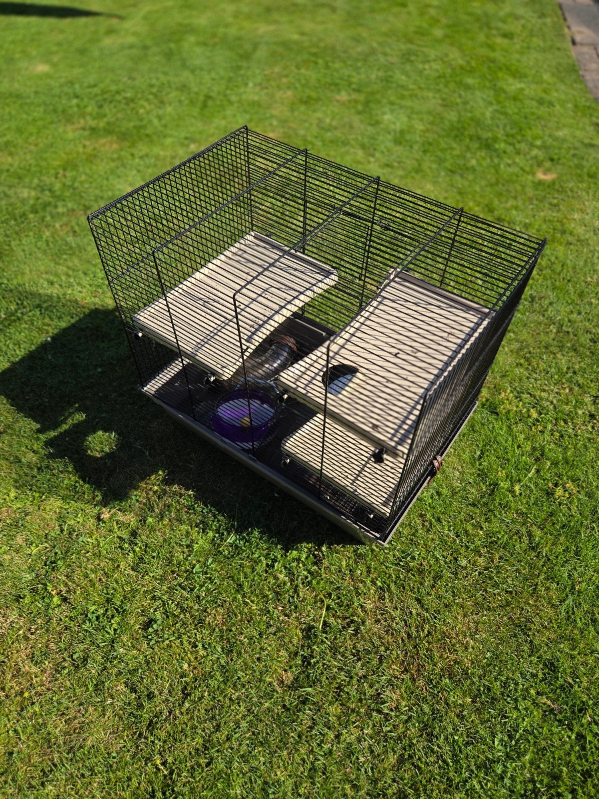 Hamster kooi, Dieren en Toebehoren, Knaagdieren en Konijnen | Hokken en Kooien, Kooi, Minder dan 75 cm, Hamster, Ophalen
