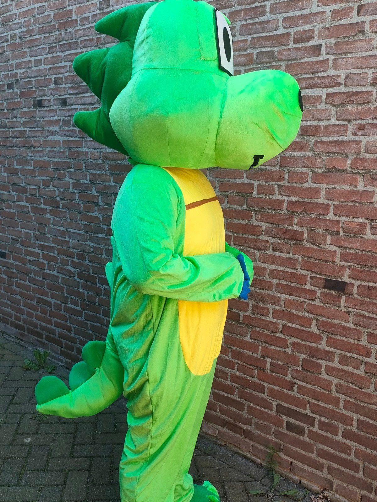 mascotte pak te huur, Ophalen of Verzenden, Zo goed als nieuw, Overige