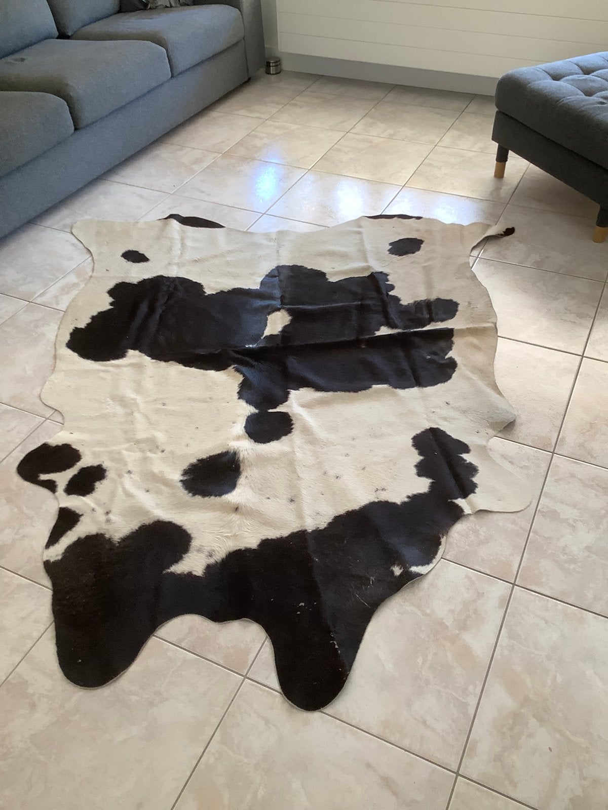 Mooie koeienhuid vloerkleed, 150 tot 200 cm, 200 cm of meer, Ophalen of Verzenden, Zo goed als nieuw