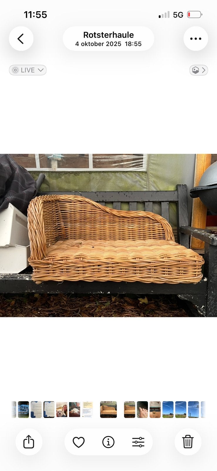 Rieten hondenmand, Dieren en Toebehoren, Hondenmanden, Ophalen, Zo goed als nieuw, Riet