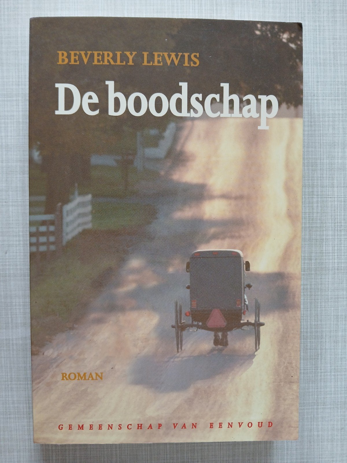 Beverly Lewis - De boodschap, Boeken, Ophalen of Verzenden, Zo goed als nieuw, Beverly Lewis