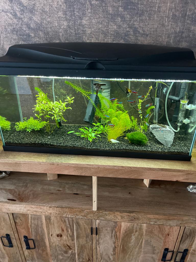 Aquarium met led co2 en vissen, Dieren en Toebehoren, Ophalen of Verzenden, Zo goed als nieuw, Gevuld zoetwateraquarium