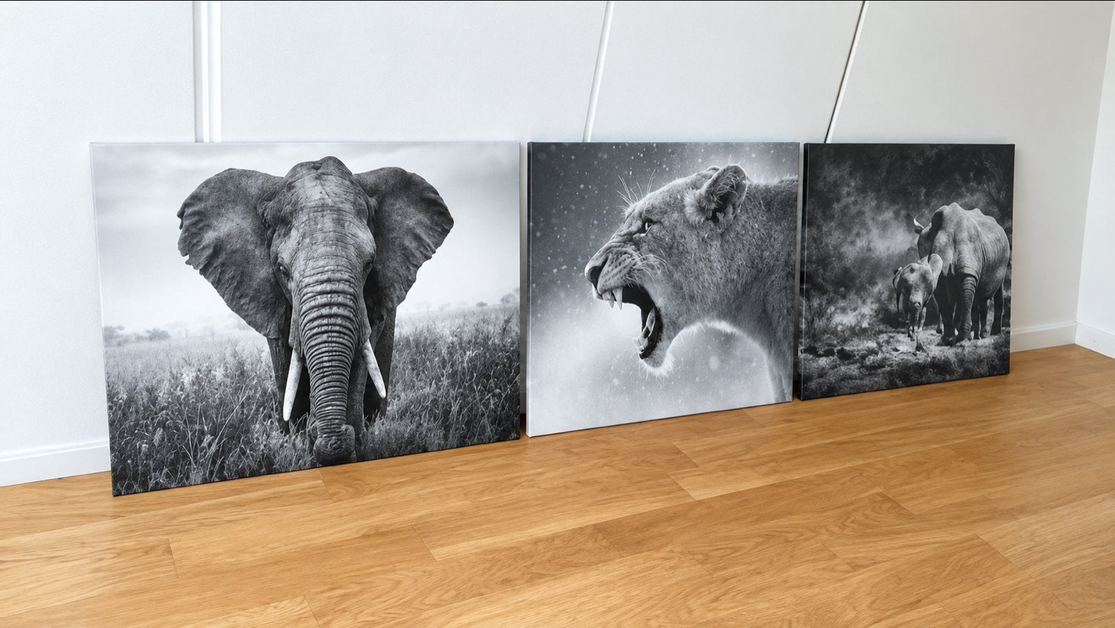 Set van 3 Wildlife Schilderijen: Olifant en Leeuwin, Ophalen of Verzenden, Zo goed als nieuw, Schilderij