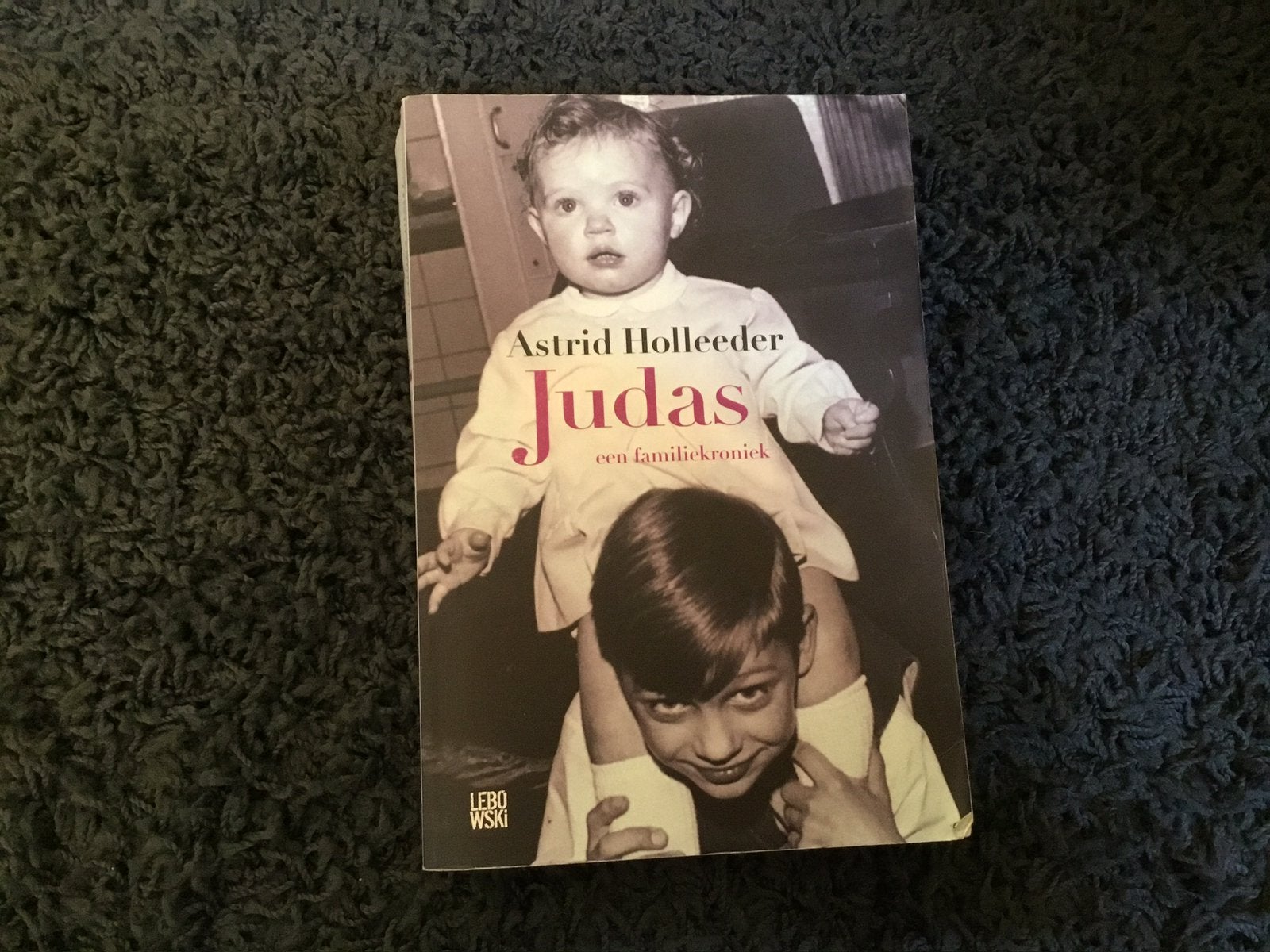 Judas  Astrid Holleeder, Ophalen of Verzenden, Zo goed als nieuw, Overige