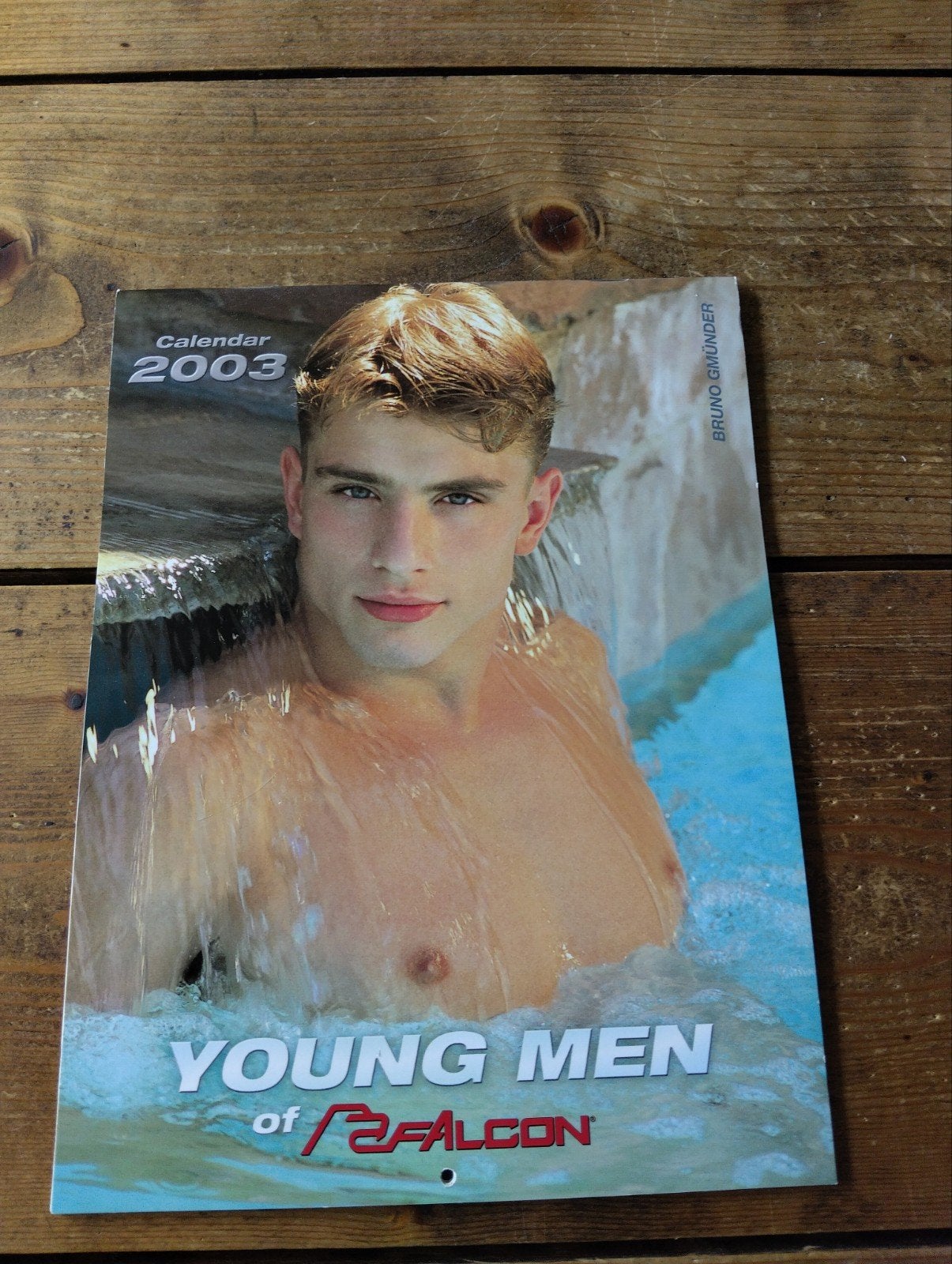 Gay, homo. Young Men of Falcon kalender 2003 28/22 cm, Ophalen of Verzenden, Maandkalender