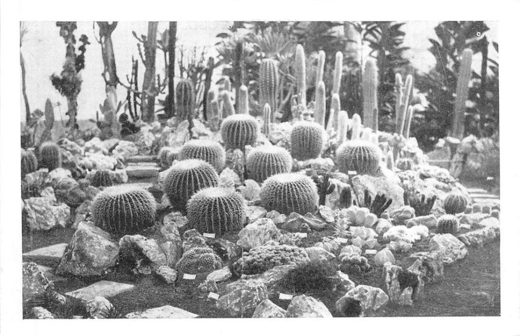 381-237-005 Floralies Gantoises, Verzenden, Voor 1920, Overig Europa