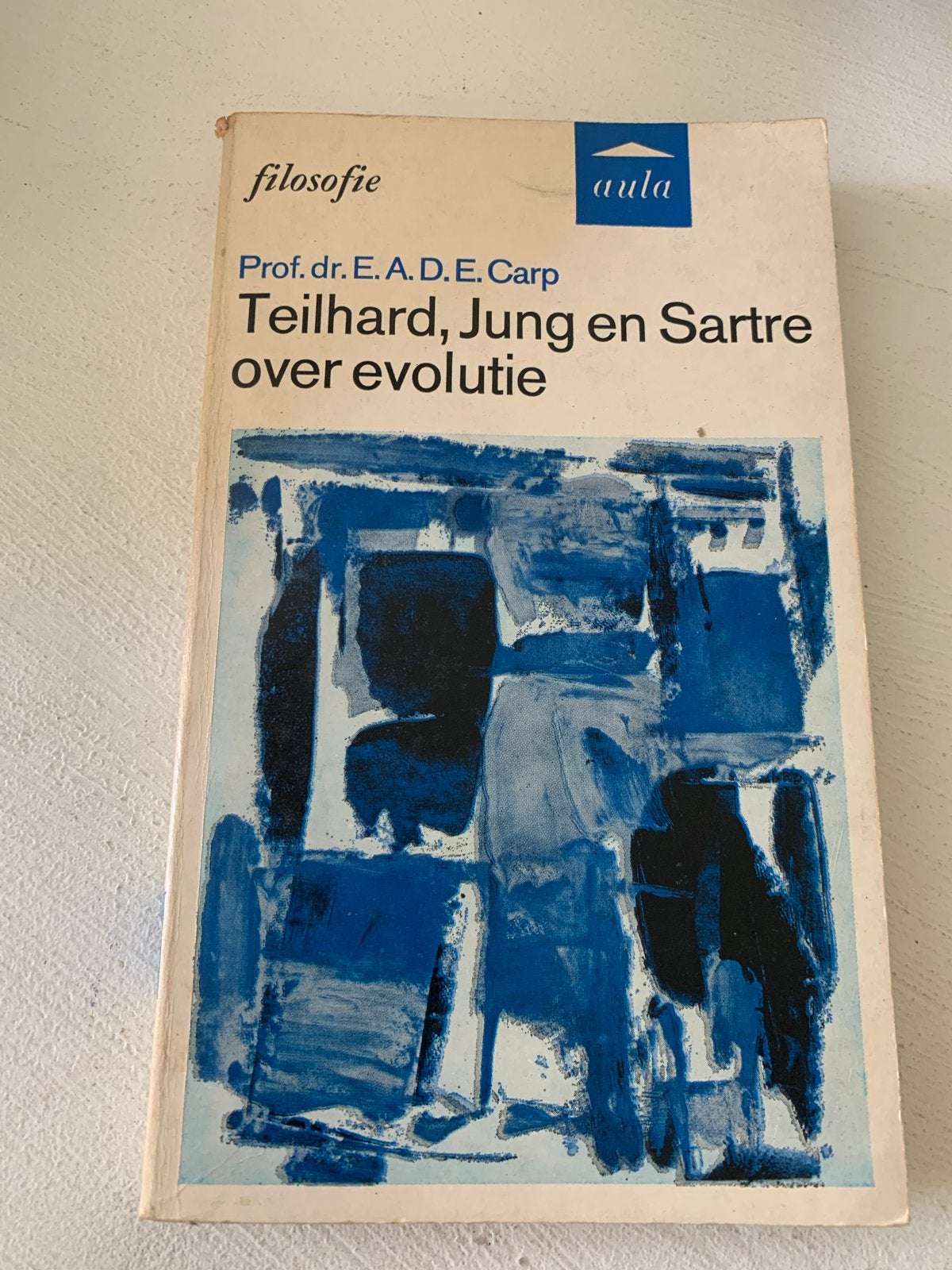 Teilhard, Jung en Sartre over evolutie - Prof. dr. E.A.D.E., Boeken, Ophalen of Verzenden, Gelezen, Wijsbegeerte of Ethiek