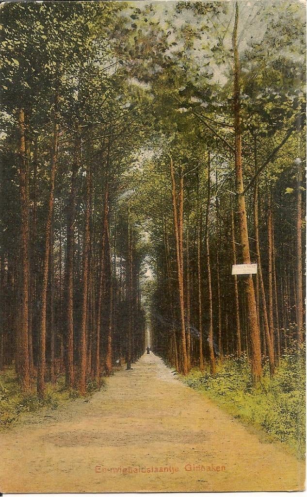 Eeuwigheidslaantje  Ginneken., Ophalen of Verzenden, 1920 tot 1940, Ongelopen, Noord-Brabant