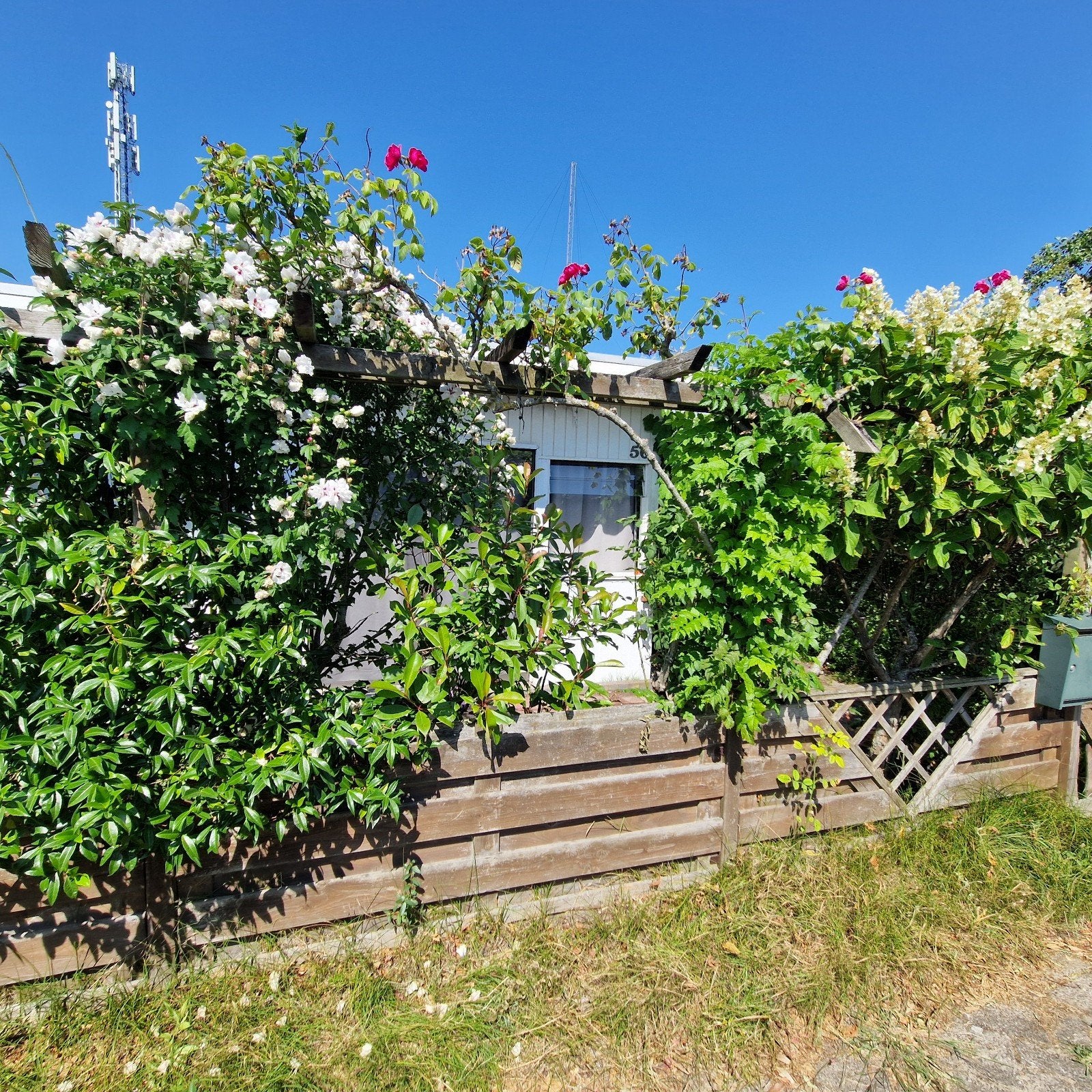 Vakantiehuis - ONS Recreatieoord Hoek van Holland, 33 m², Chalet, Zuid-Holland, 1 slaapkamers