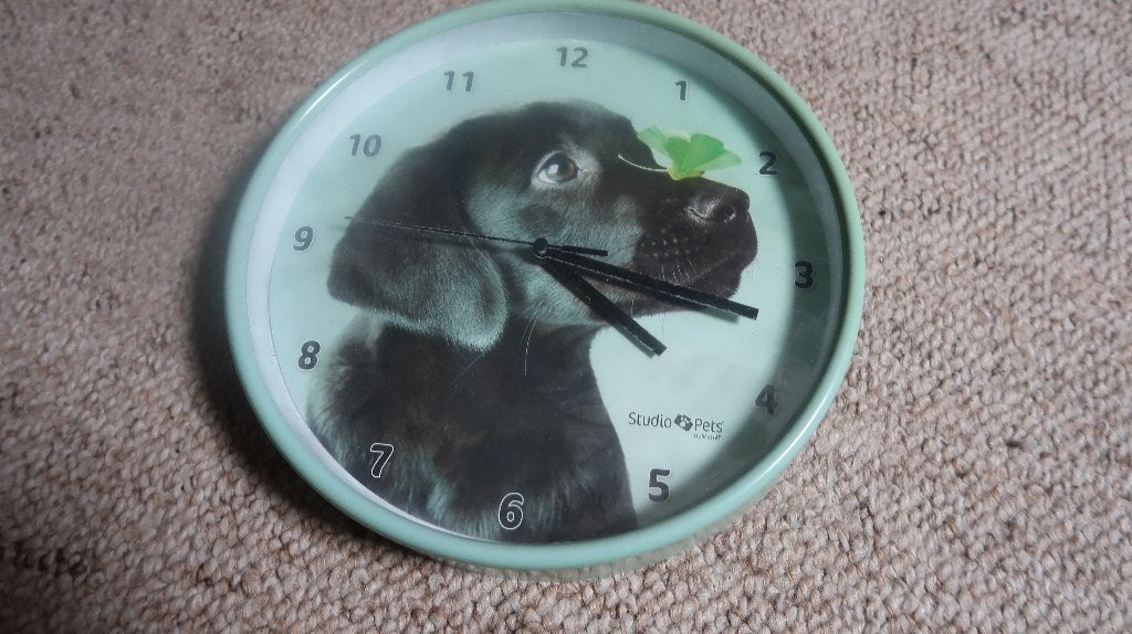 Studio Pets Wandklok, Ophalen, Wandklok, Analoog, Werkt op batterijen