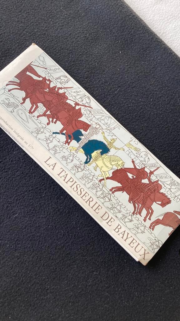 La Tapisserie de Bayeux. Compleet in 58 scenes! Onbeschadigd, Boeken, Geschiedenis | Wereld, Gelezen, Europa, 14e eeuw of eerder