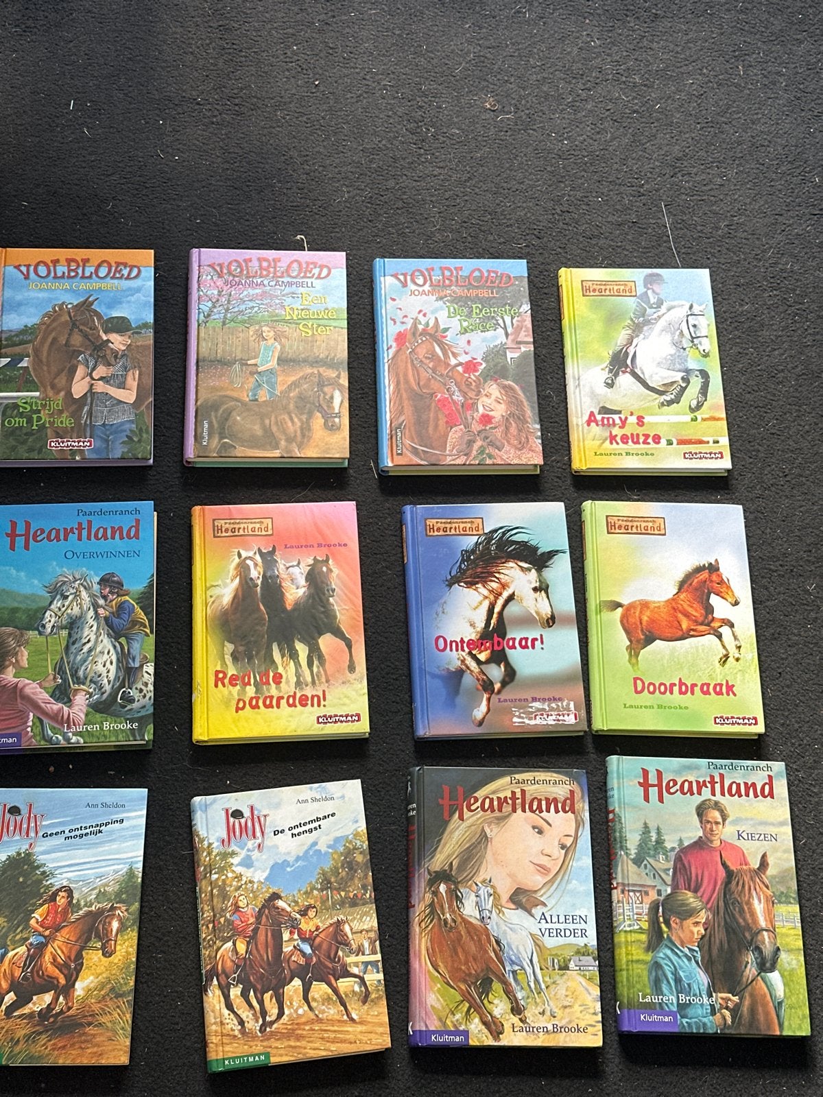 Grote collectie paardenboeken: Volbloed, Heartland, Jody, Ophalen of Verzenden, Zo goed als nieuw, Fictie algemeen