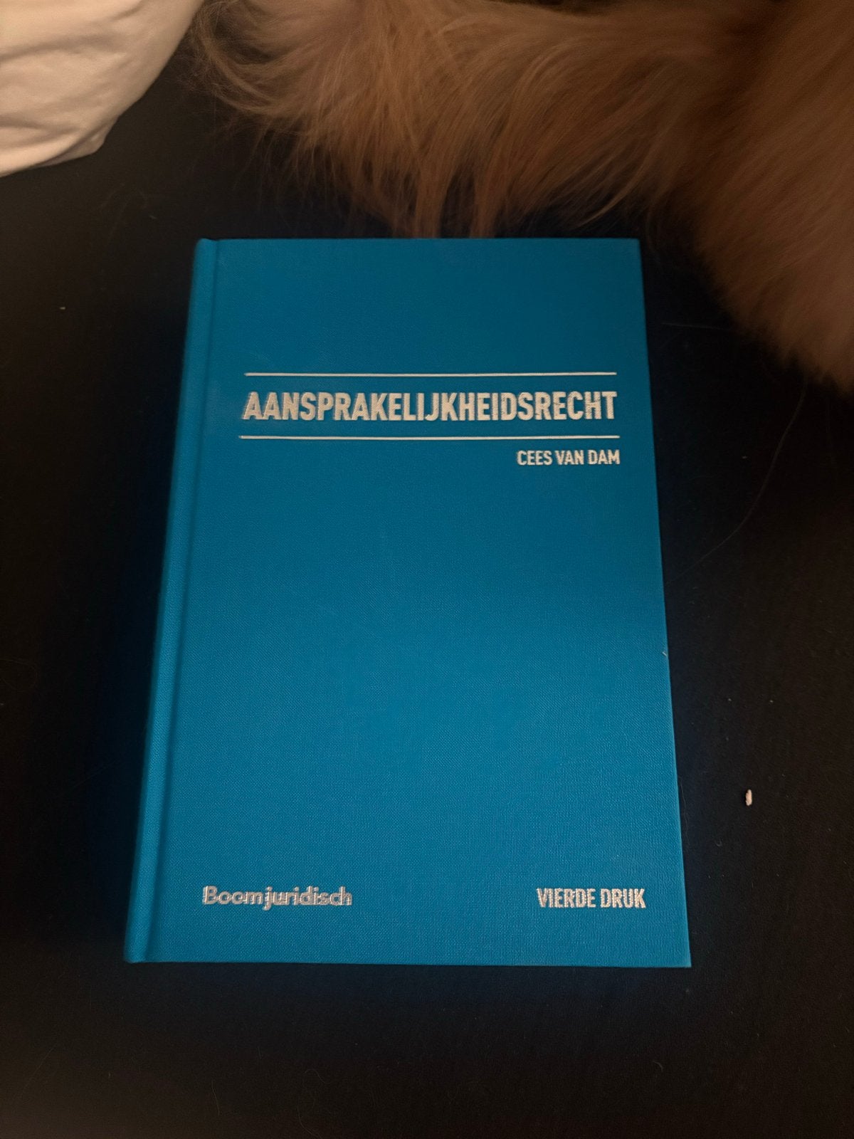 Aansprakelijkheidsrecht - Cees van Dam (Vierde Druk), Ophalen of Verzenden, Gamma, Zo goed als nieuw, WO