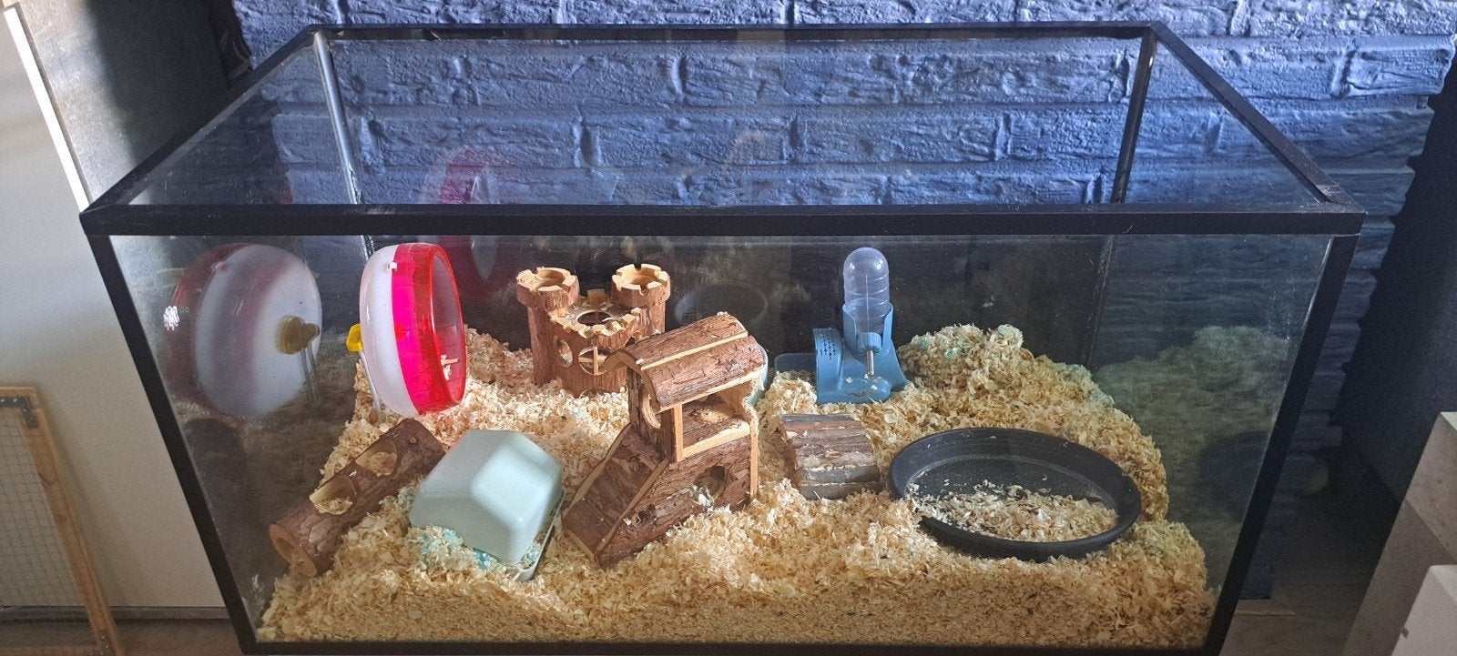 Glazen hok/terrarium hamster scaping, Zo goed als nieuw, Ophalen, Minder dan 60 cm, Hok