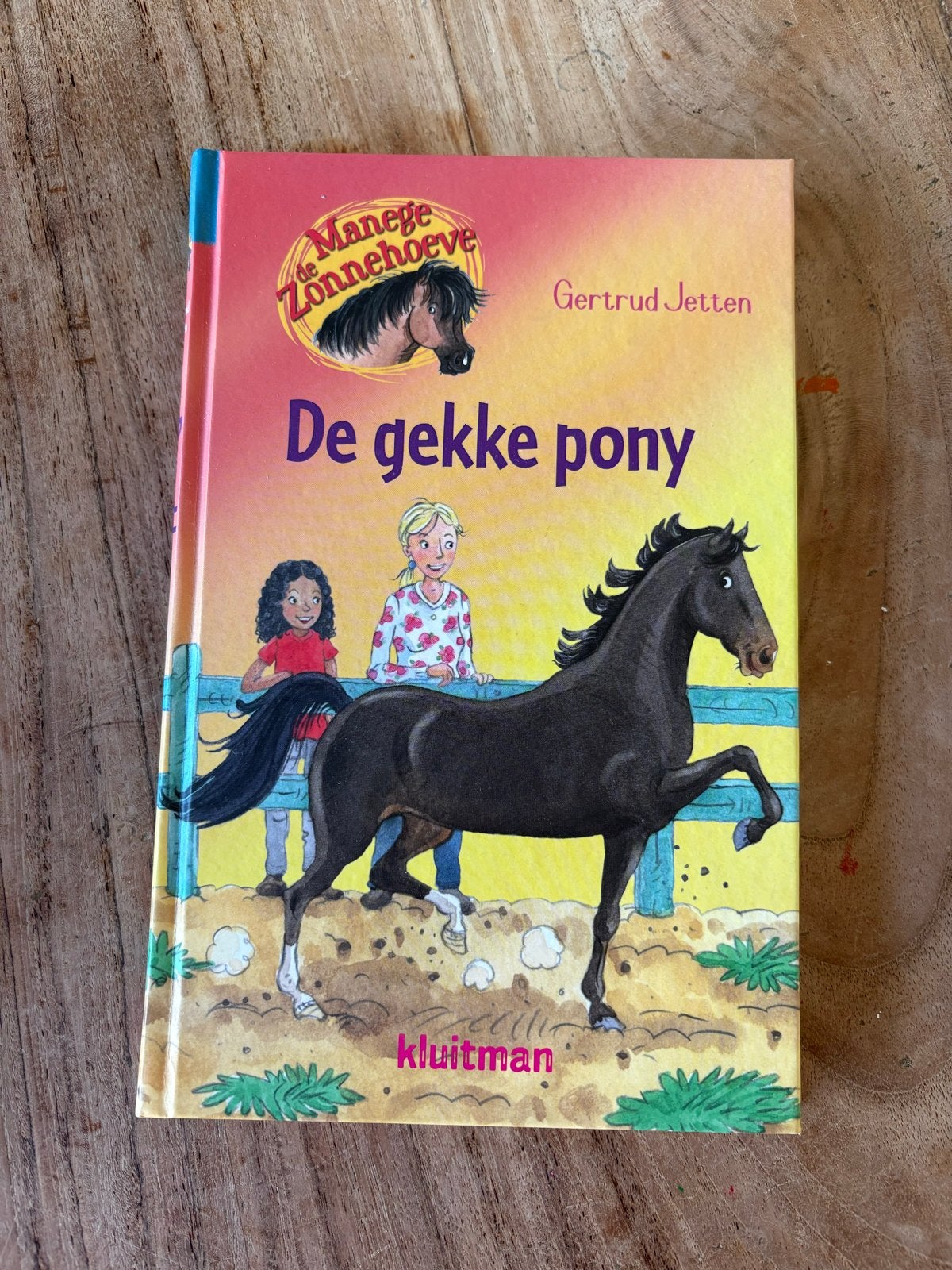 Gertrud Jetten - De gekke pony, Fictie algemeen, Ophalen of Verzenden, Zo goed als nieuw, Gertrud Jetten