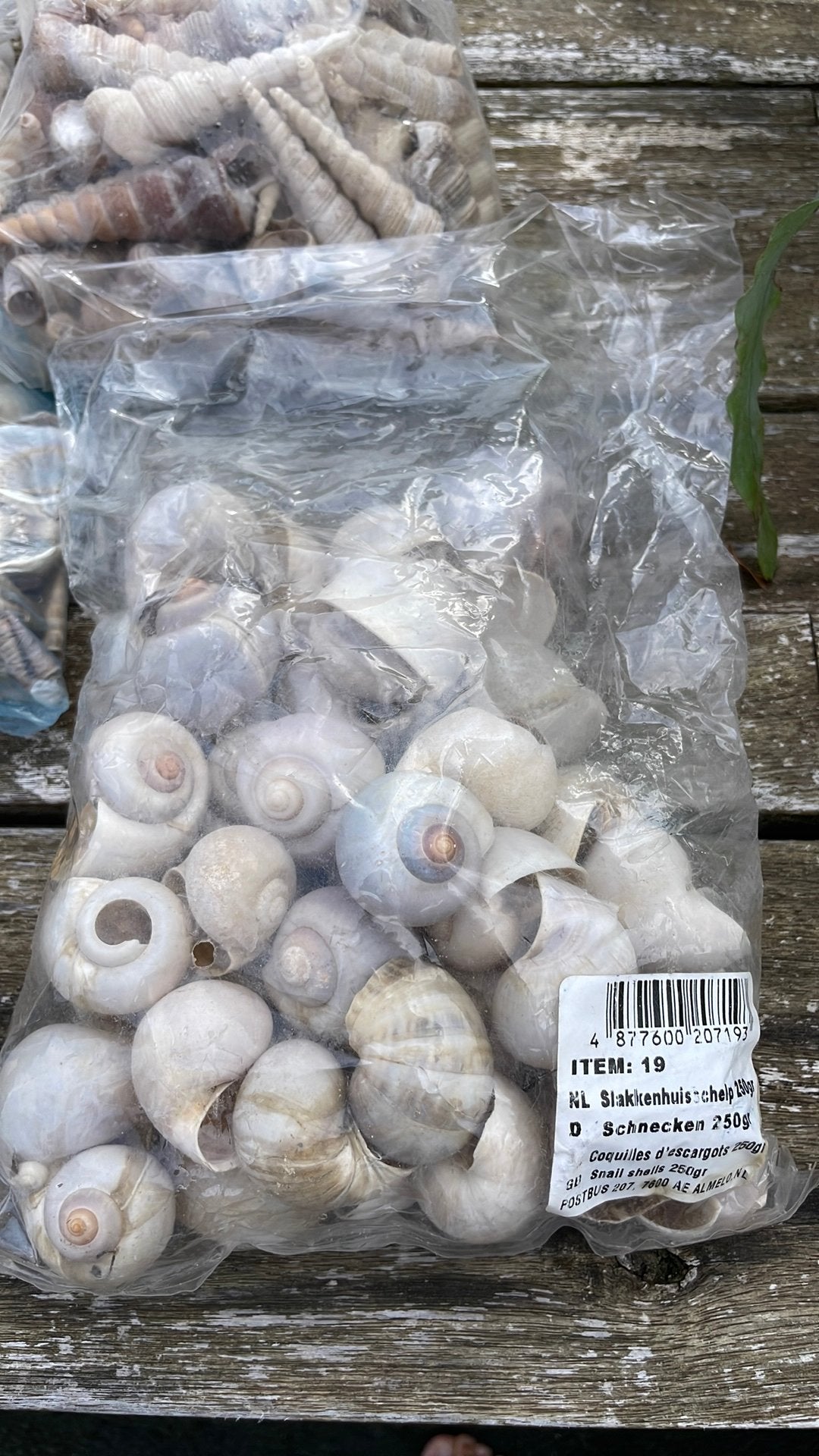 Schelpen voor decoratie, Huis en Inrichting, Ophalen of Verzenden