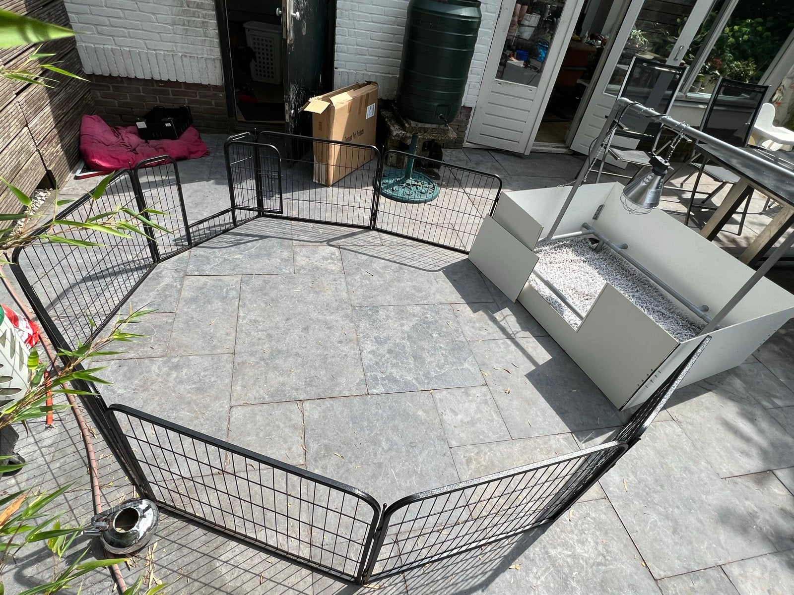 Werpkist hond groot 153x130 incl ren en armatuur te huur, Ophalen, Zo goed als nieuw