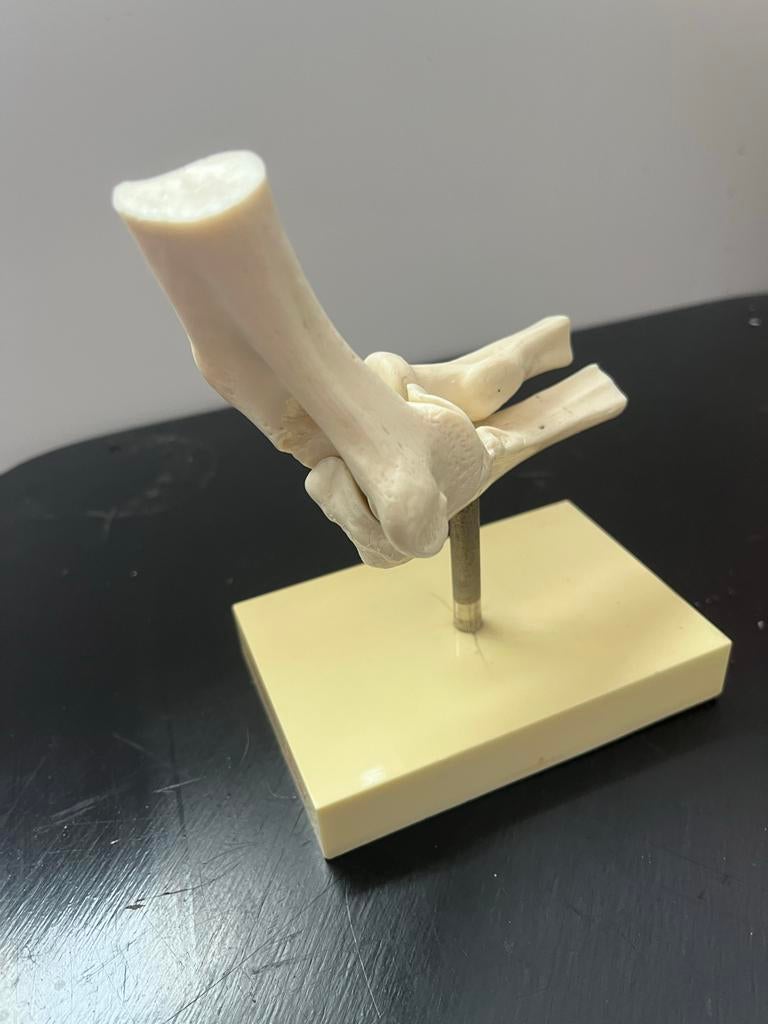 Gewricht, Antiek en Kunst, Ophalen of Verzenden