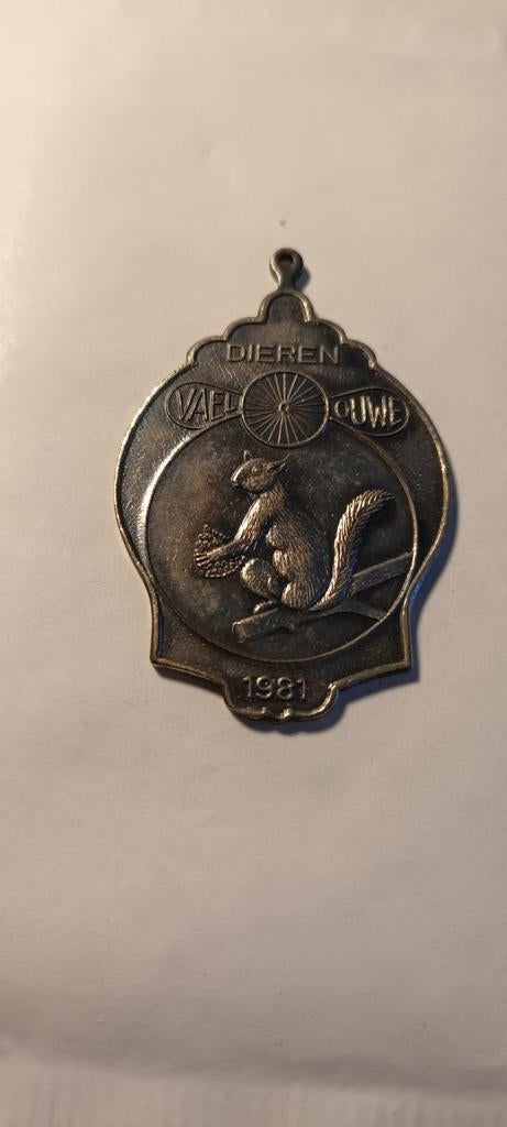 Zilveren Herdenkingsmedaille Dieren Velo Ouwe 1981, Ophalen of Verzenden