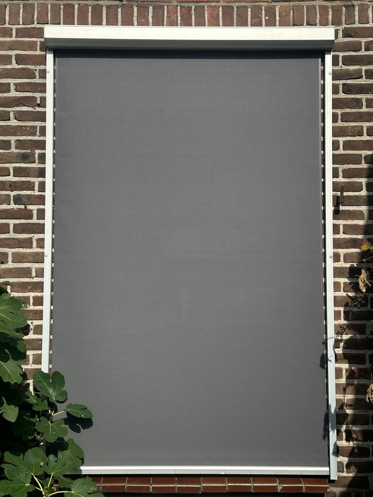Screen - 129 cm breed frame, 120x198 cm doek, Ophalen, Gebruikt, Elektrisch, Minder dan 250 cm