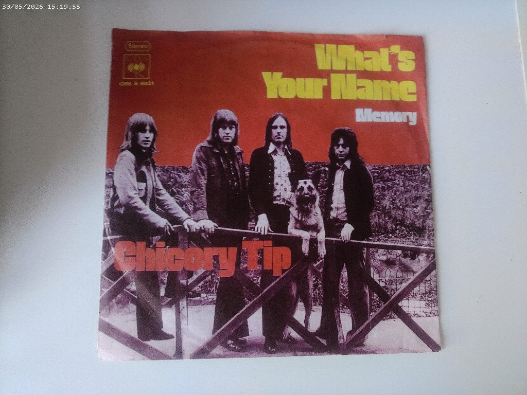 Chicory Tip - What's your name / memory, Fotohoes, Ophalen of Verzenden, Gebruikt, Rock en Metal