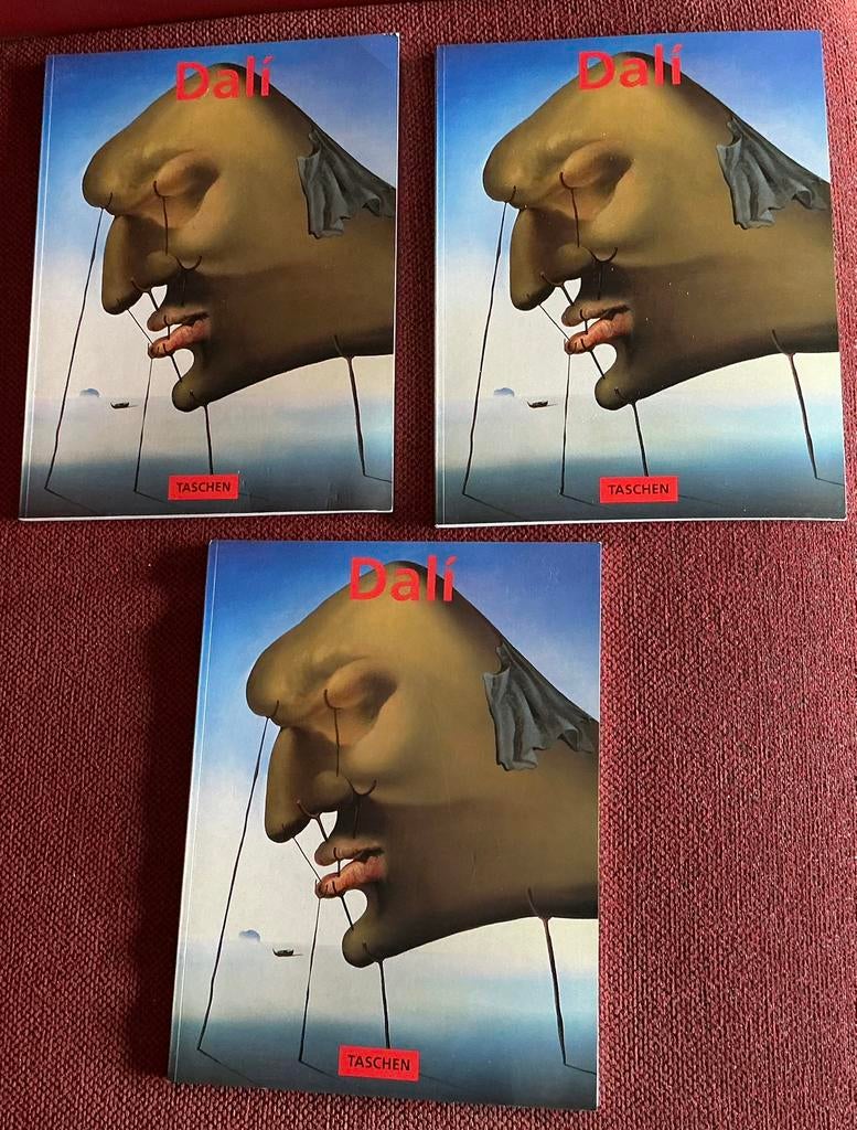 Salvador Dali, Ophalen of Verzenden, Zo goed als nieuw