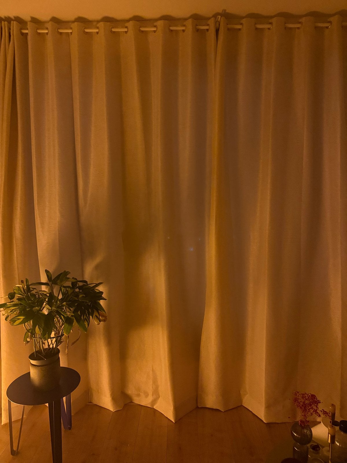 Hema Gordijnen Enter lichtdoorlatend ivoor met ringen, Huis en Inrichting, Ophalen of Verzenden, Gordijn, Crème, Lichtdoorlatend