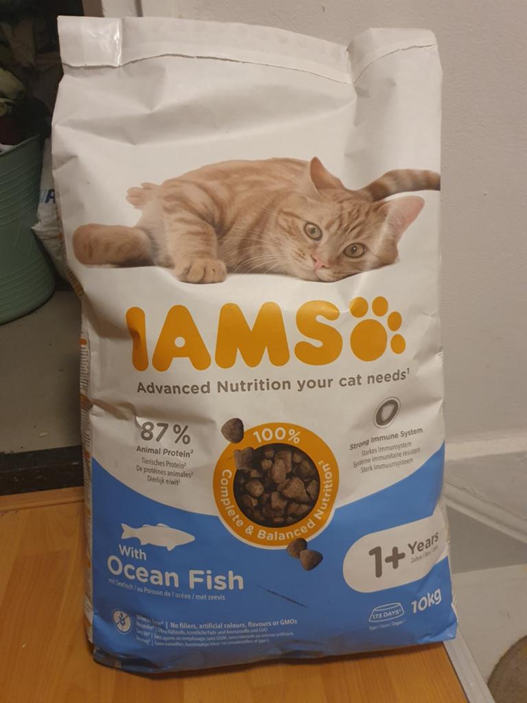IAMS Advanced Nutrition Adult Cat met Zeevis 10 kg, Ophalen, Kat
