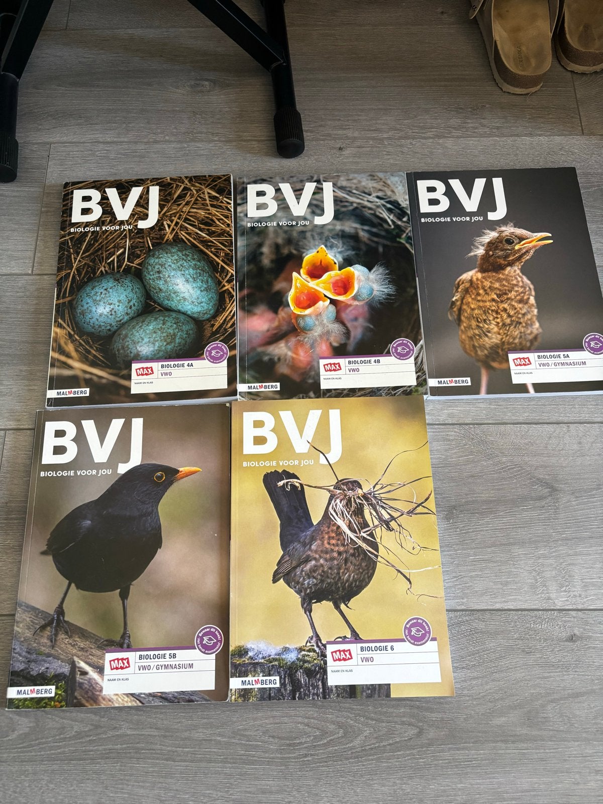 BVJ Biologie voor Jou VWO/Gymnasium Boeken (4A, 4B, 5A, 5B,, Ophalen, Gelezen, VWO, Biologie