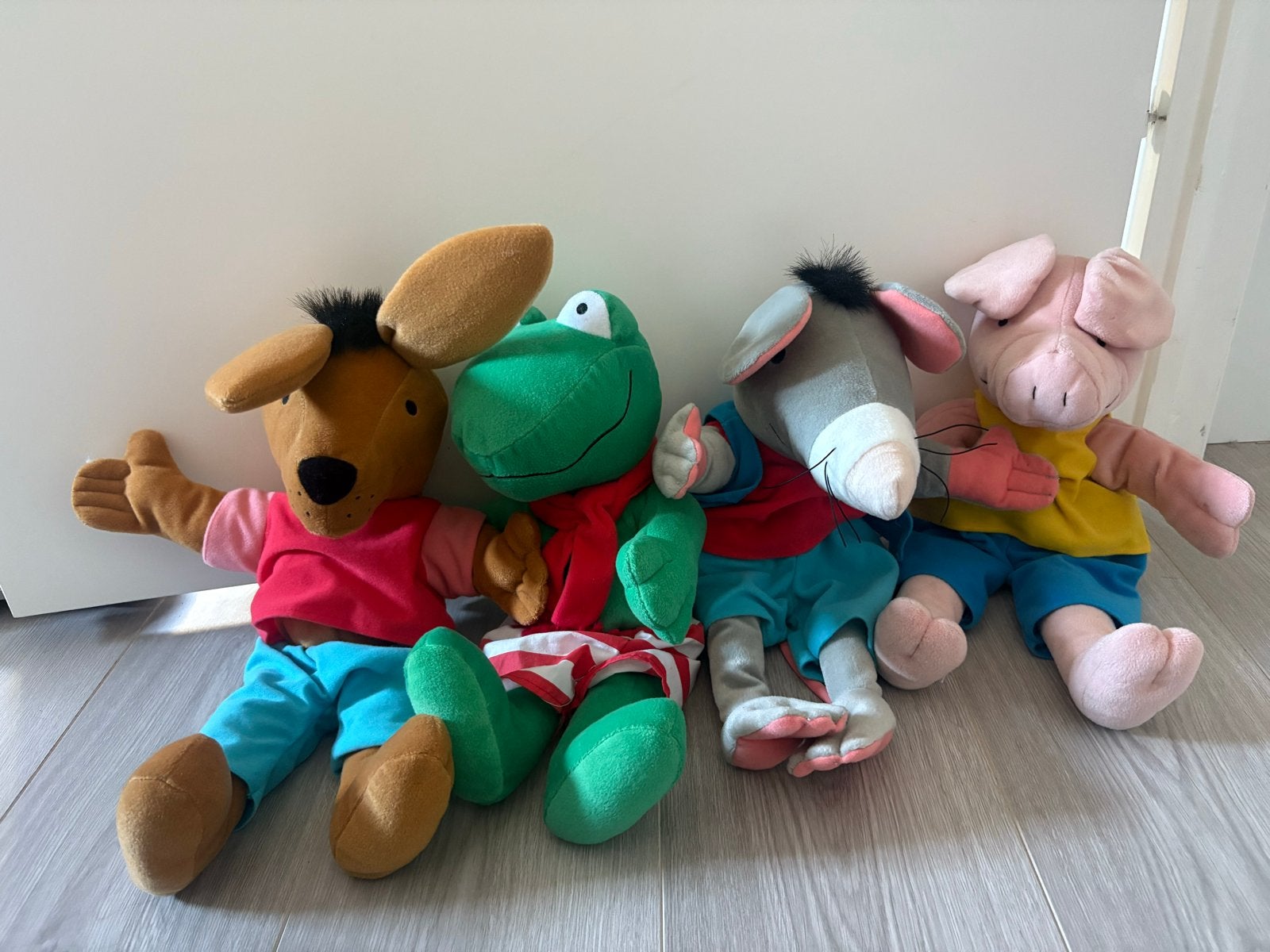Kikker en zijn vriendjes handpoppen 40 cm, Kikker, Overige karakters, Ophalen of Verzenden, Zo goed als nieuw