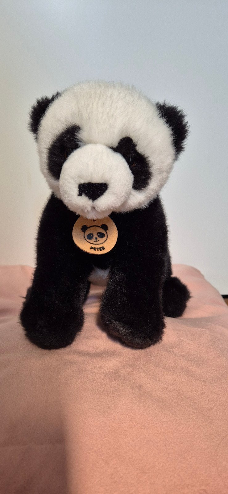 Knuffel pluche panda Peter ( Pia Soft Toys ), Beer, Ophalen of Verzenden, Middelgroot (20 tot 80 cm), Met label