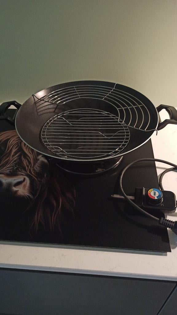 Grote elektrische wok, Huis en Inrichting, Keuken | Potten en Pannen, Ophalen, Zo goed als nieuw, Overige materialen, Wok