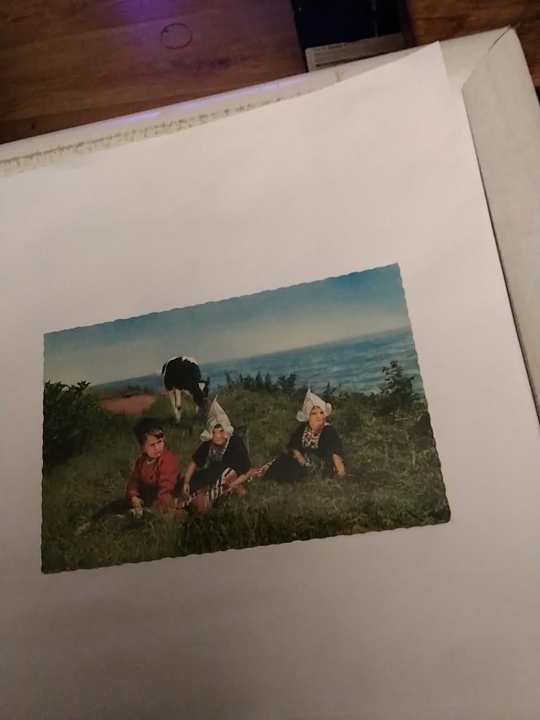 VOLENDAM. 3 KINDEREN IN HET GRAS. MET KOE, Ophalen of Verzenden, Voor 1920, Noord-Holland