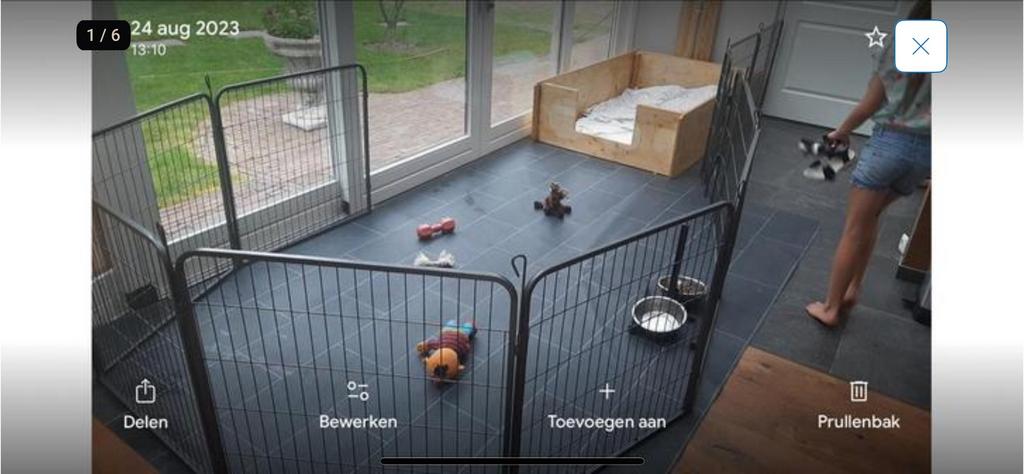 Puppyren te huur 20 delen voor binnen/ buiten, Ophalen of Verzenden, Gelezen, Honden