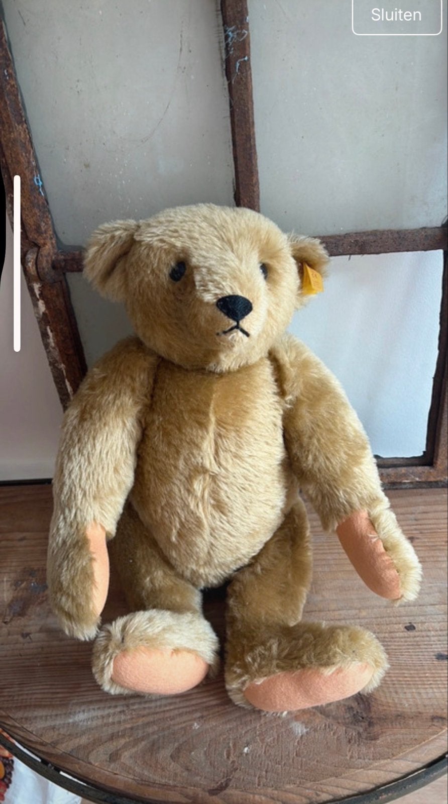 Steiff Teddybeer - Klassieke Knuffelbeer met 'Knopf im Ohr', Overige karakters, Beer, Ophalen of Verzenden, Middelgroot (20 tot 80 cm)