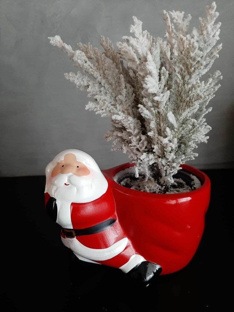 Bloempot kerstman!, Diversen, Kerst, Ophalen of Verzenden, Gebruikt