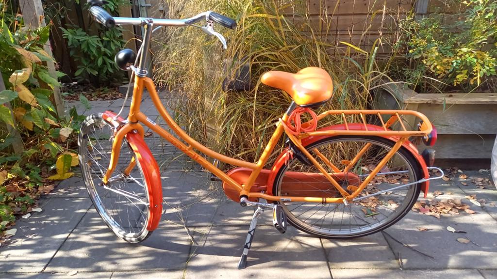 Gazelle Madelief 24inch, Fietsen en Brommers, Fietsen | Meisjes, Ophalen, Gebruikt, 24 inch