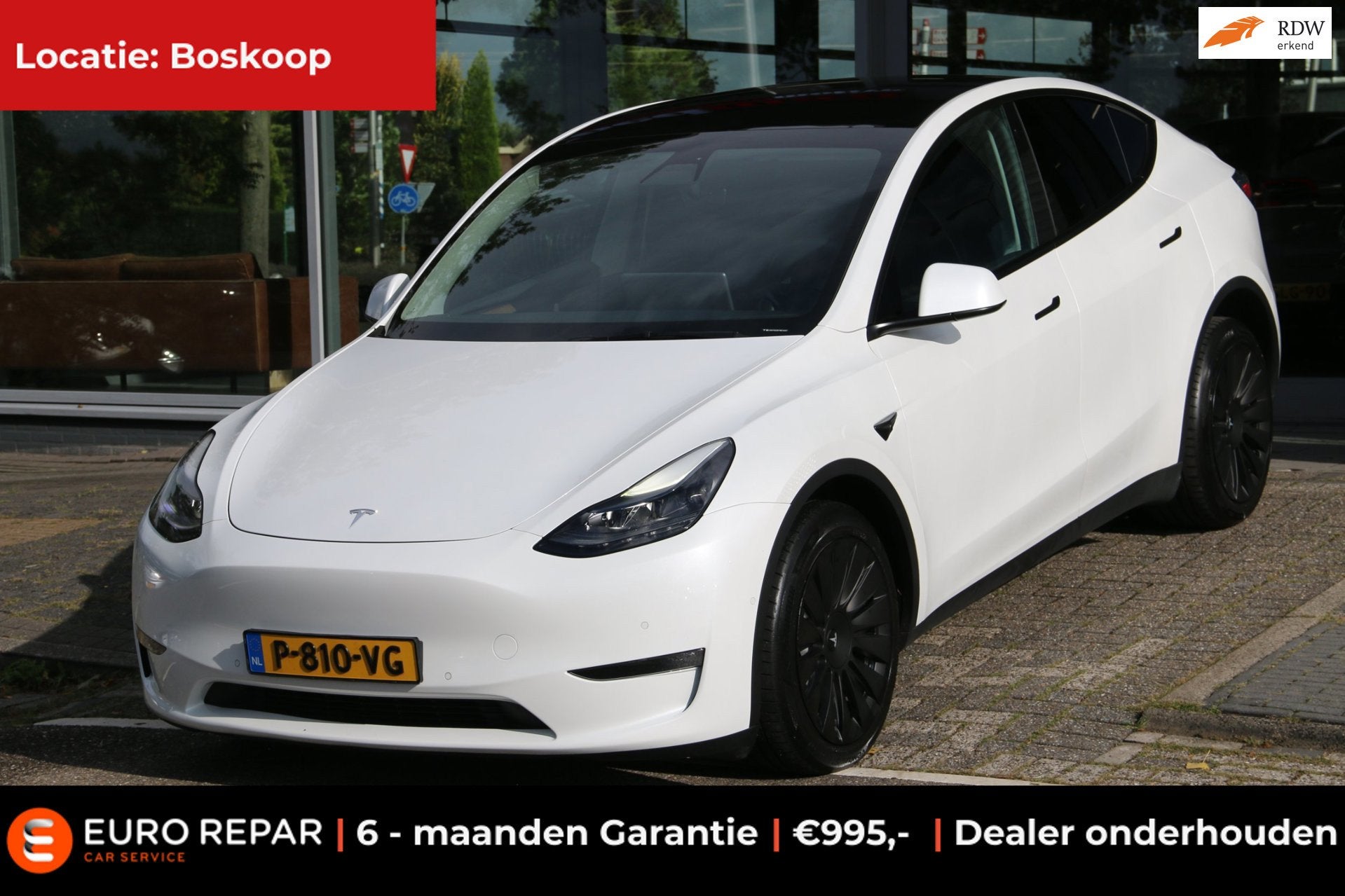 Tesla Model Y Long Range AWD 75 kWh, Automaat, Gebruikt, Wit, Leder