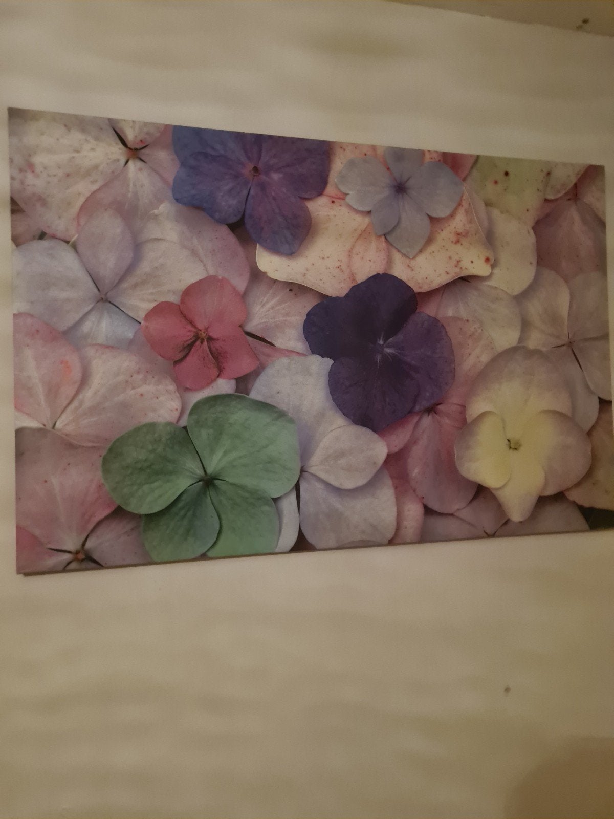 canvas schilderij groot, Ophalen of Verzenden, Zo goed als nieuw, Schilderij