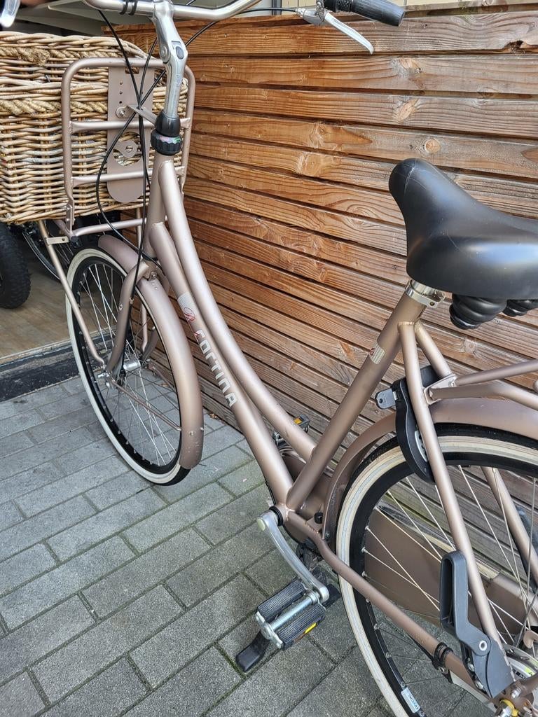 Cortina Roots moederfiets maat 56, Ophalen, Gebruikt, Overige merken, Versnellingen