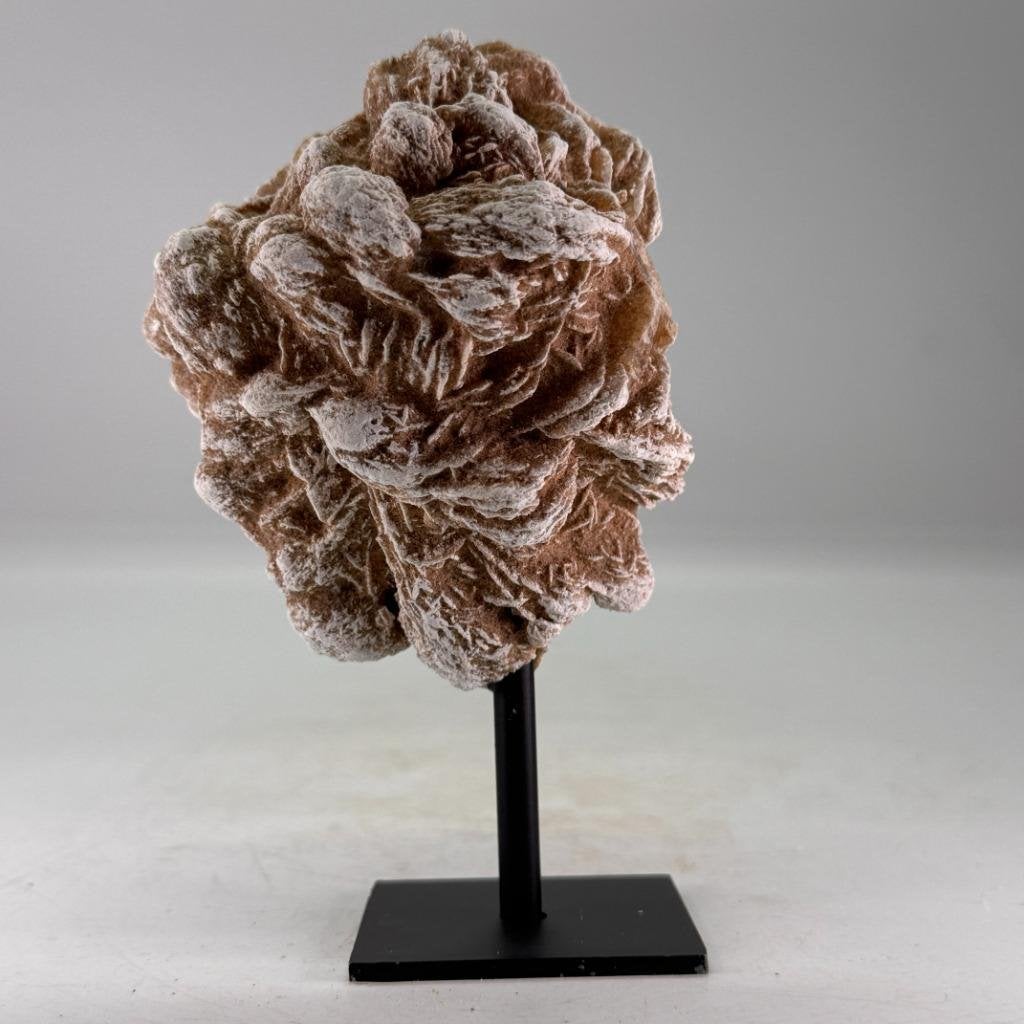 Unieke woestijnroos uit Marokko., Verzamelen, Mineralen en Fossielen, Ophalen of Verzenden