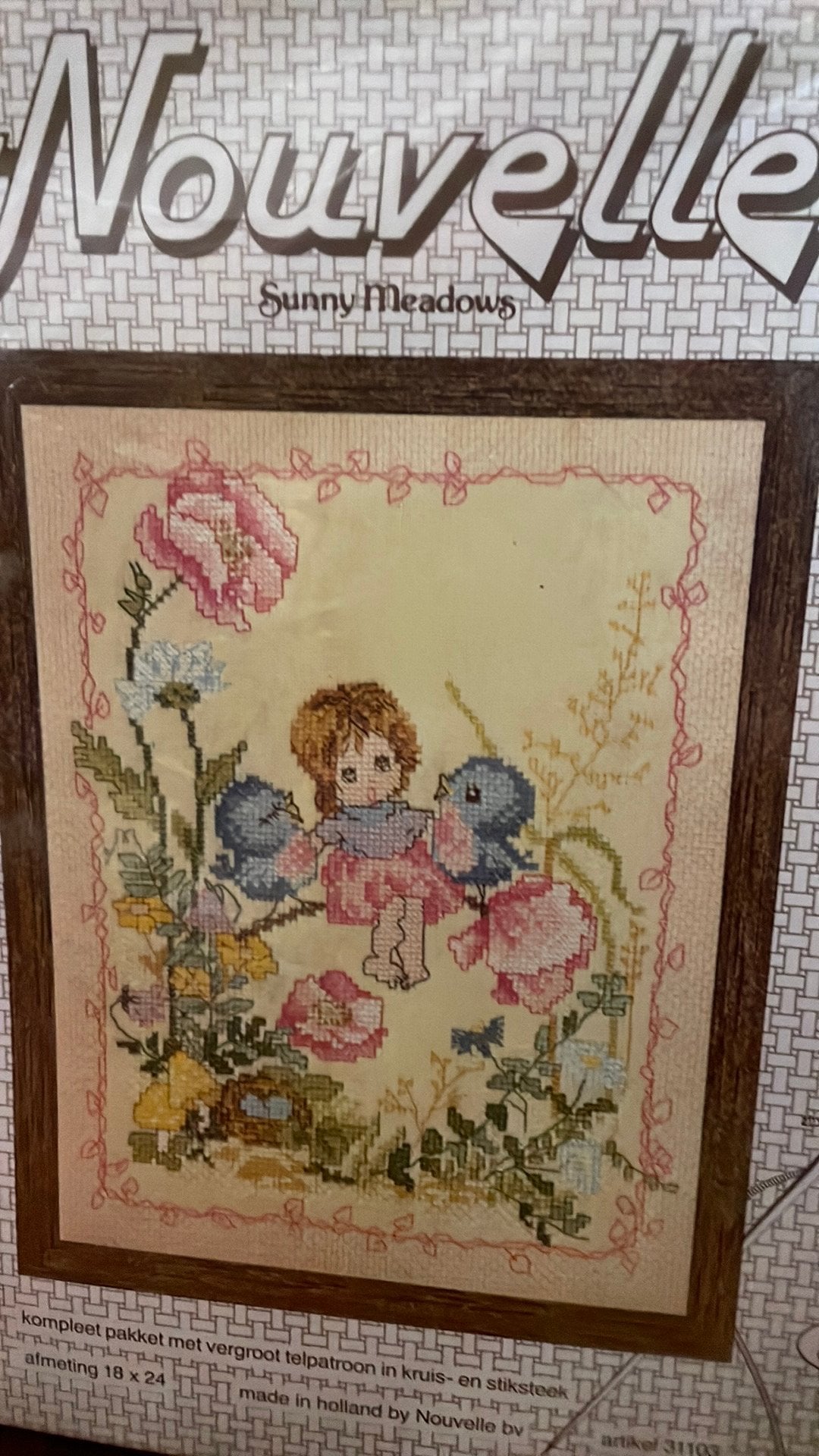 Borduurpakket nouvelle, Ophalen of Verzenden, Nieuw, Borduurpakket
