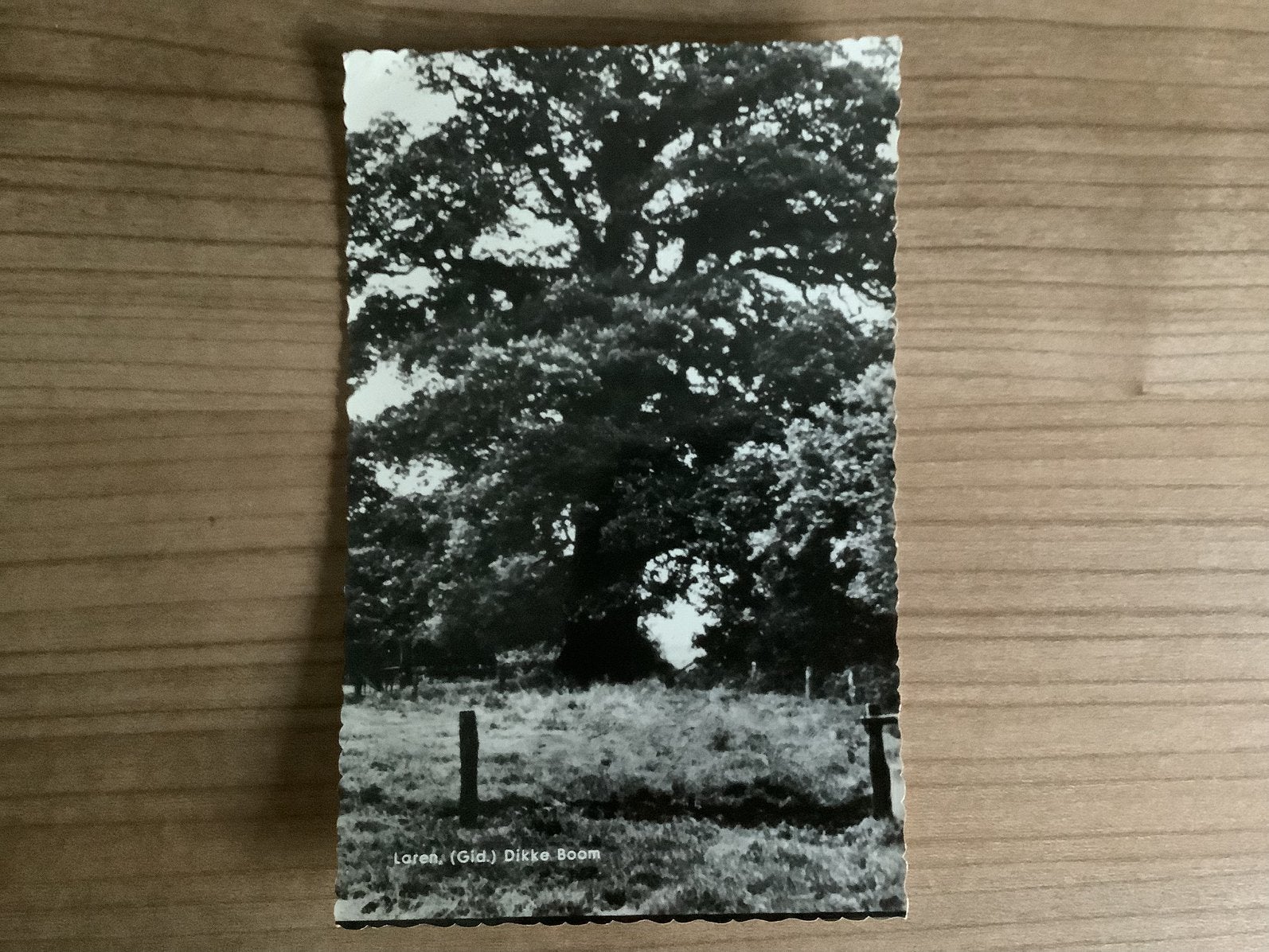 ansichtkaart Laren, Verzamelen, Verzenden, Ongelopen, Gelderland