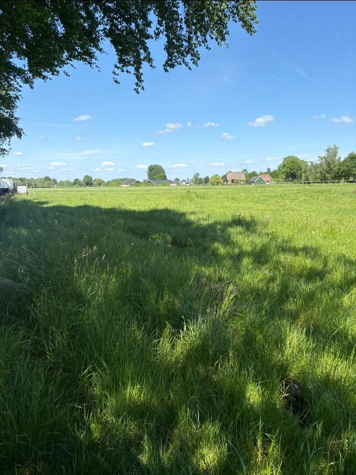 Weidegang, Dieren en Toebehoren, Weidegang