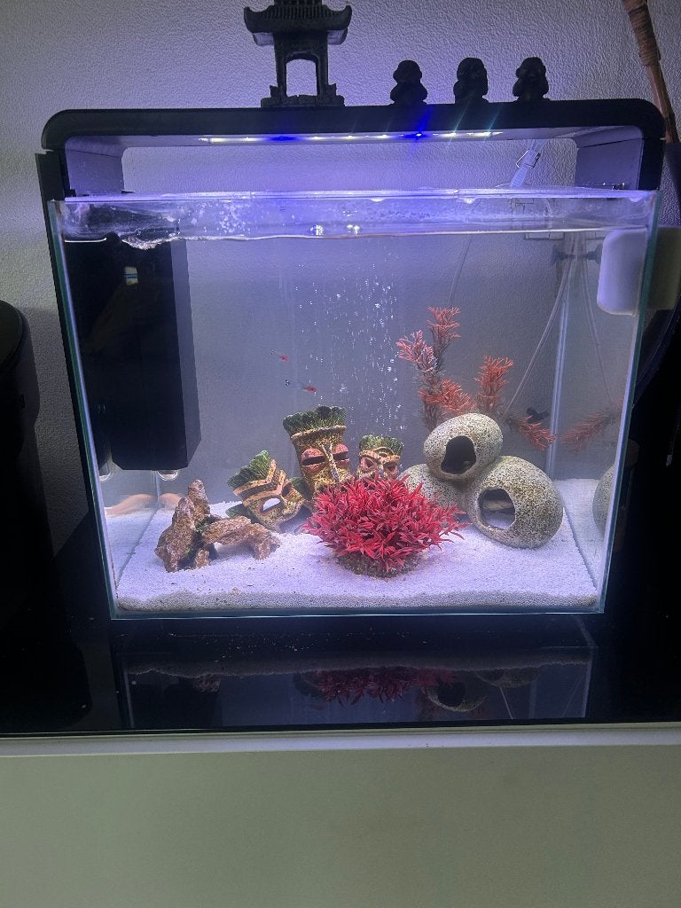 Aquarium LED Superfish home 40, 47x25x42,5 zwart 40 L/Modern, Ophalen, Inclusief vissen, Superfish, Gevuld zoetwateraquarium