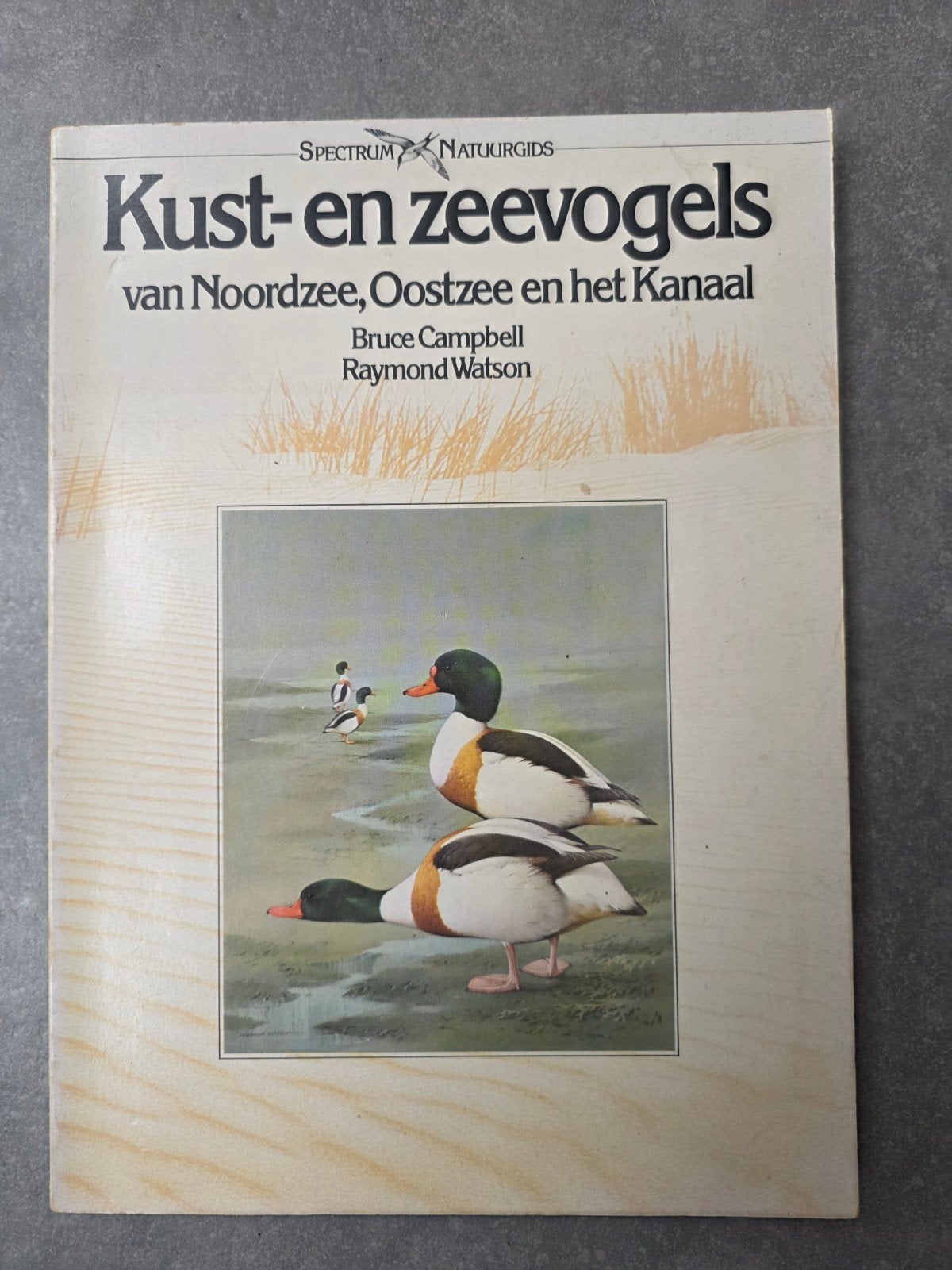 Kust- en Zeevogels - Bruce Campbell & Raymond Watson - Noord, Ophalen of Verzenden, Zo goed als nieuw, Vogels, Bruce Campbell & Raymond Watson