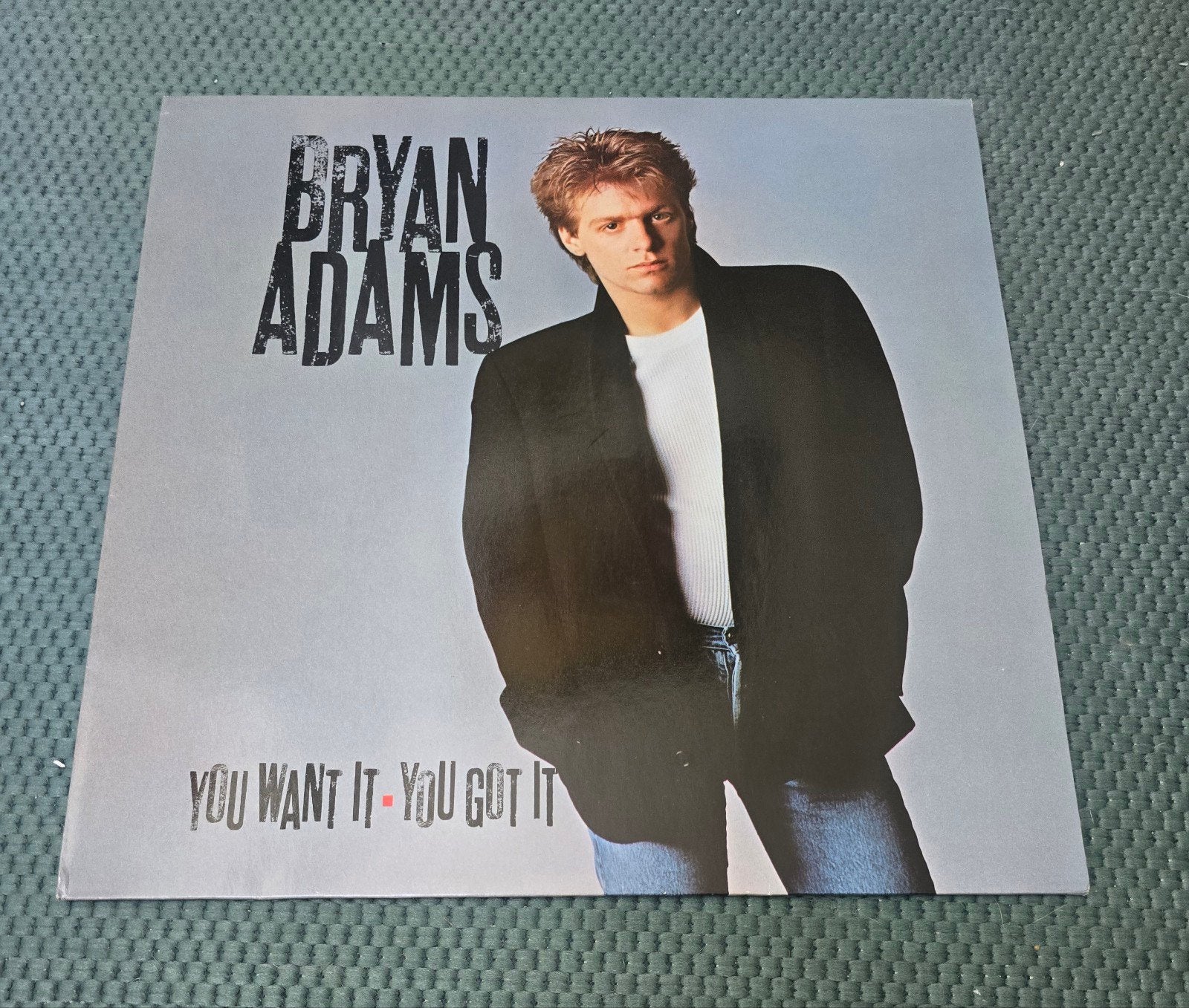 Bryan Adams you want it you got it lp, Cd's en Dvd's, Ophalen of Verzenden, Gebruikt, 12 inch, Poprock