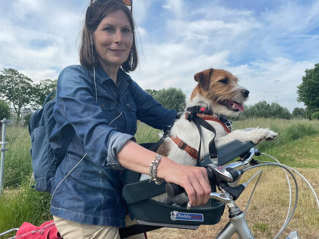 Buddyrider hondenzitje voorop de fiets, Ophalen of Verzenden, Nieuw